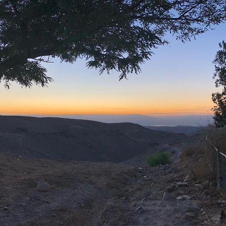 شقة Adi أراد المظهر الخارجي الصورة