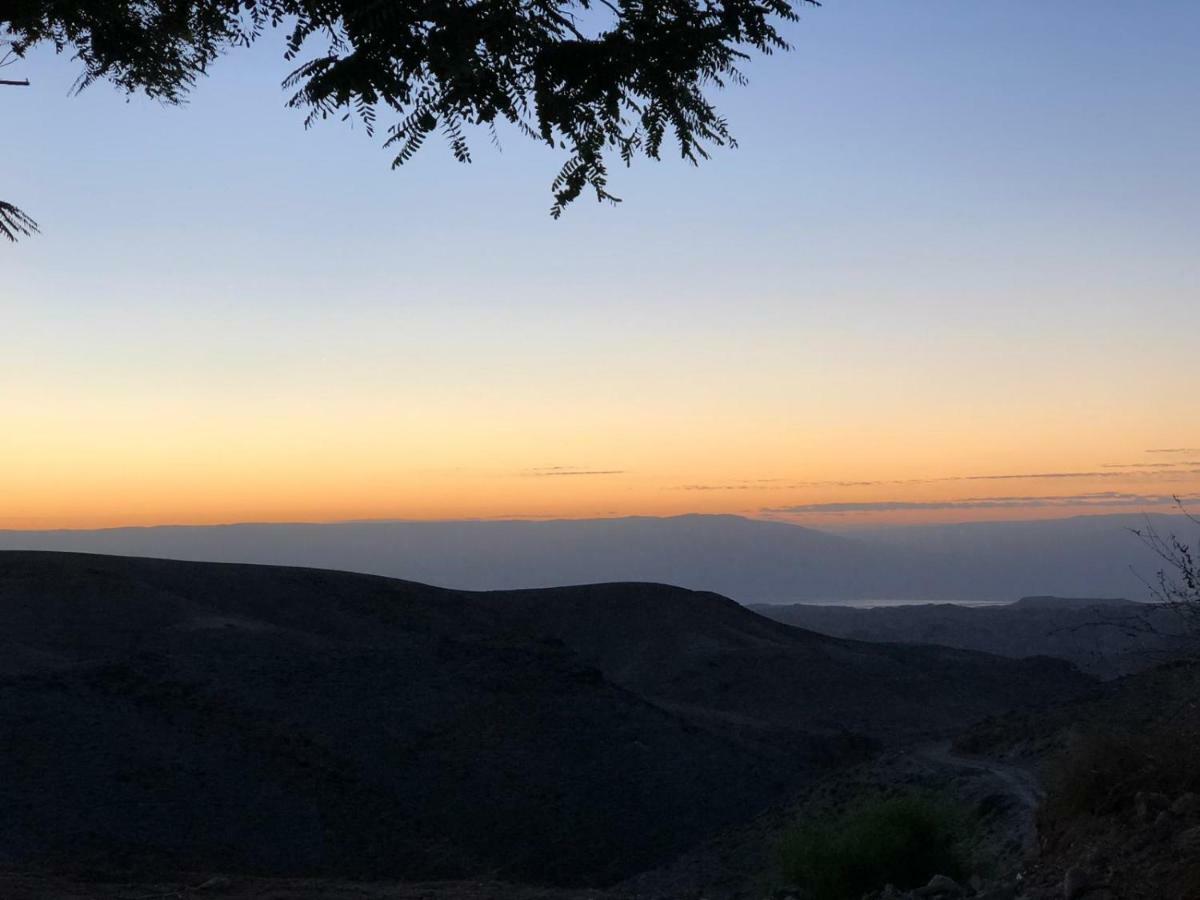 شقة Adi أراد المظهر الخارجي الصورة